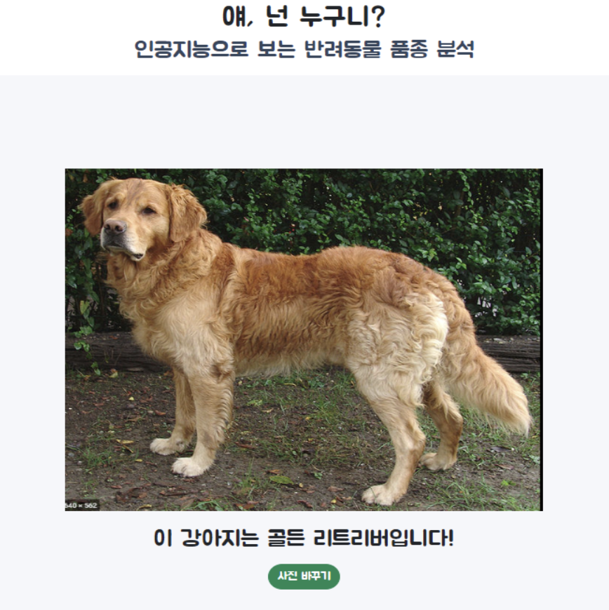 품종분석 스크린샷